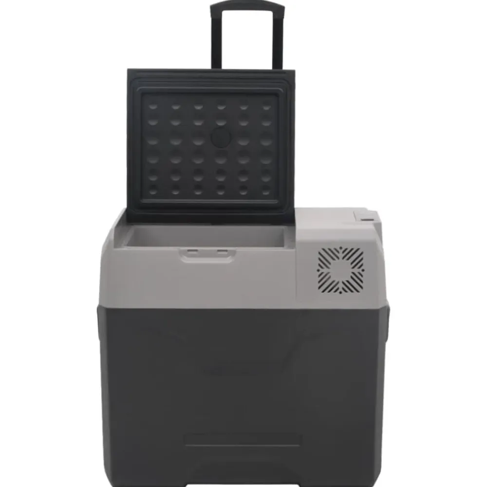 vidaXL Cocina Y Comedor-Nevera con ruedas y asa polipropileno negro y gris 50 L