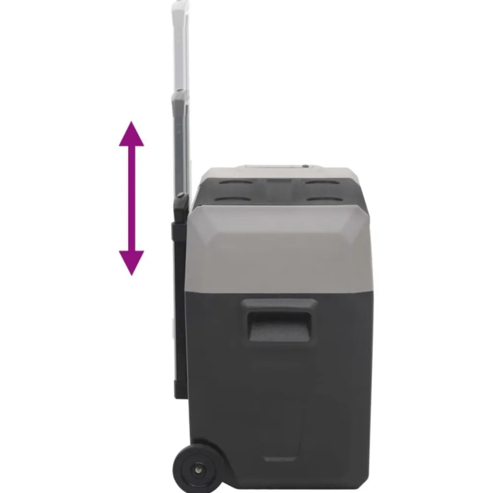 vidaXL Cocina Y Comedor-Nevera con ruedas y asa polipropileno negro y gris 50 L
