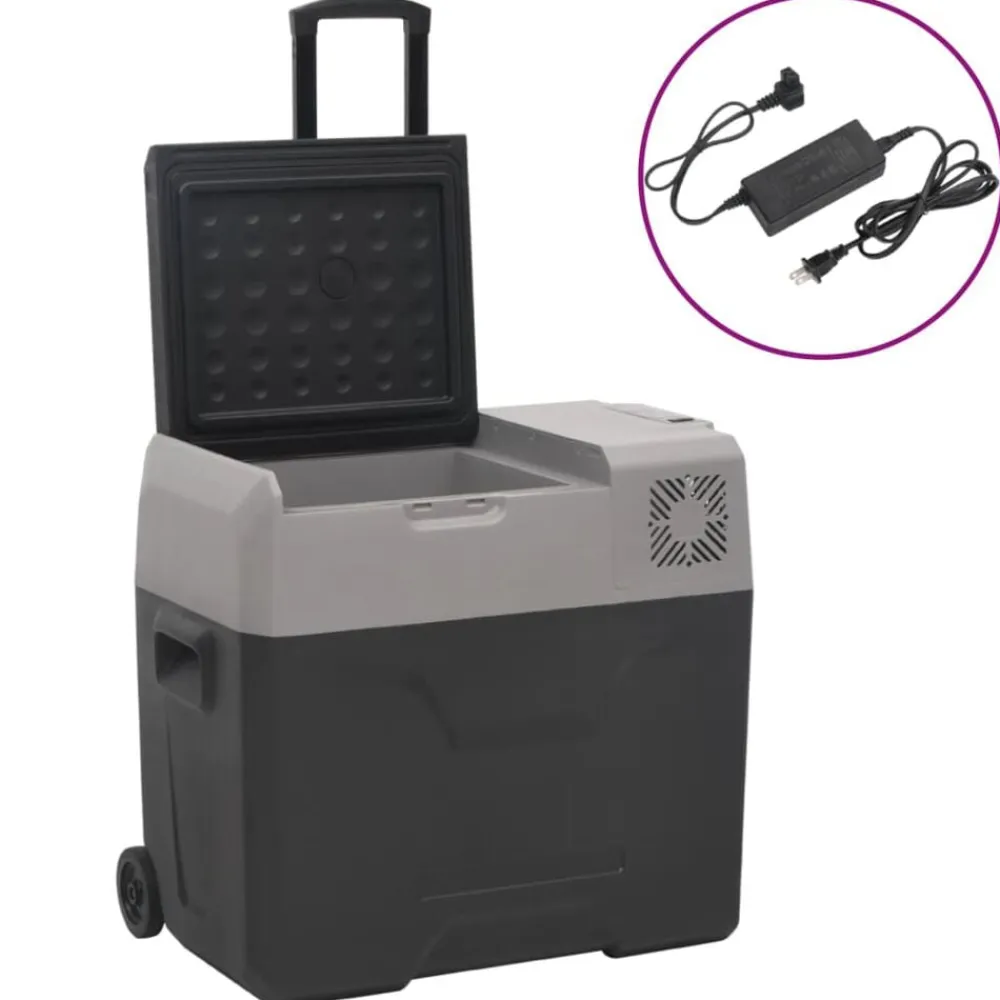 vidaXL Cocina Y Comedor-Nevera con ruedas y adaptador polipropileno negro y gris 30 L