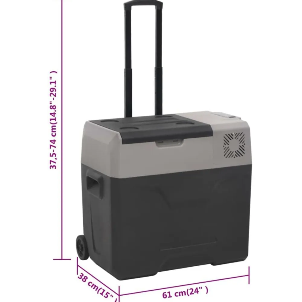 vidaXL Cocina Y Comedor-Nevera con ruedas y adaptador polipropileno negro y gris 30 L