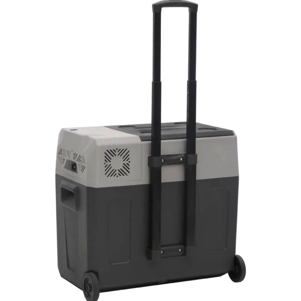 vidaXL Cocina Y Comedor-Nevera con ruedas y adaptador polipropileno negro y gris 30 L