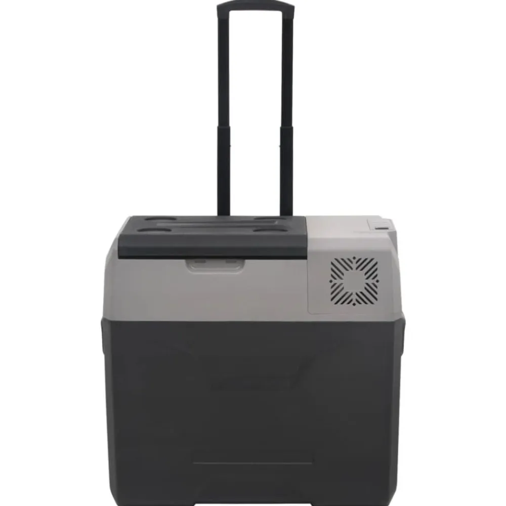 vidaXL Nevera con ruedas y adaptador polipropileno negro y gris 40 L