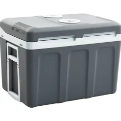 vidaXL Cocina Y Comedor-Nevera termoeléctrica portátil 40 litros 12 V 230 V E