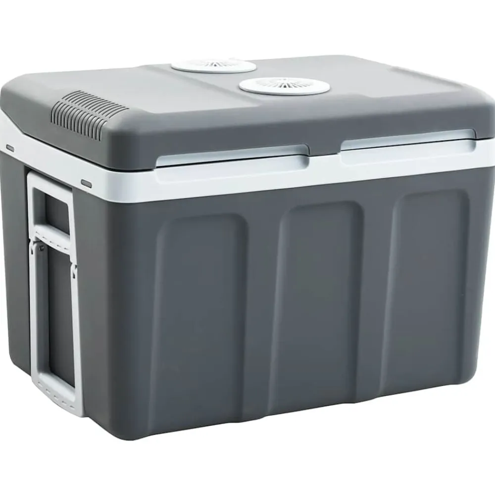 vidaXL Cocina Y Comedor-Nevera termoeléctrica portátil 40 litros 12 V 230 V E