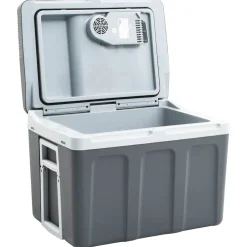 vidaXL Cocina Y Comedor-Nevera termoeléctrica portátil 40 litros 12 V 230 V E