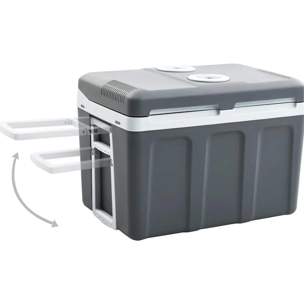 vidaXL Cocina Y Comedor-Nevera termoeléctrica portátil 40 litros 12 V 230 V E