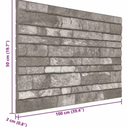 vidaXL Paneles de pared 10 pcs 100 x 50 cm Espuma EPS Gris oscuro Outlet