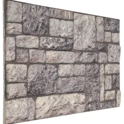 vidaXL Paneles de pared 10 pcs 100 x 50 cm Espuma EPS Gris y New