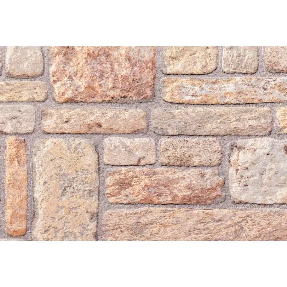 vidaXL Materiales De Construcción-Paneles de pared 10 pcs Marrón claro y 100 x 50 cm Espuma EPS