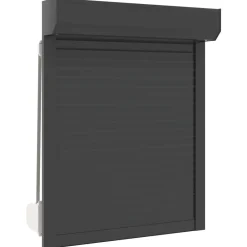 vidaXL Persiana enrollable Manual 70 x 100 cm Antracita New