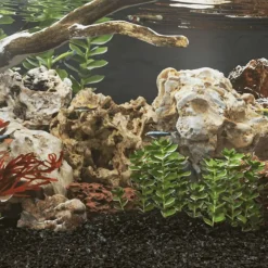 vidaXL Piedras de dragón marrón 10 kg 5-30 cm Marr&oacute;n Online