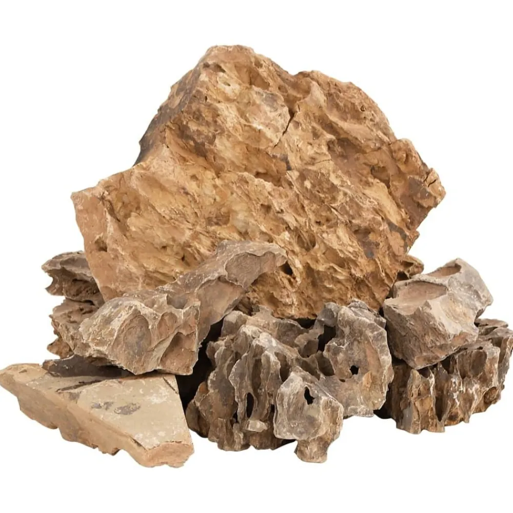 vidaXL Piedras de dragón marrón 10 kg 5-30 cm Marrón Online