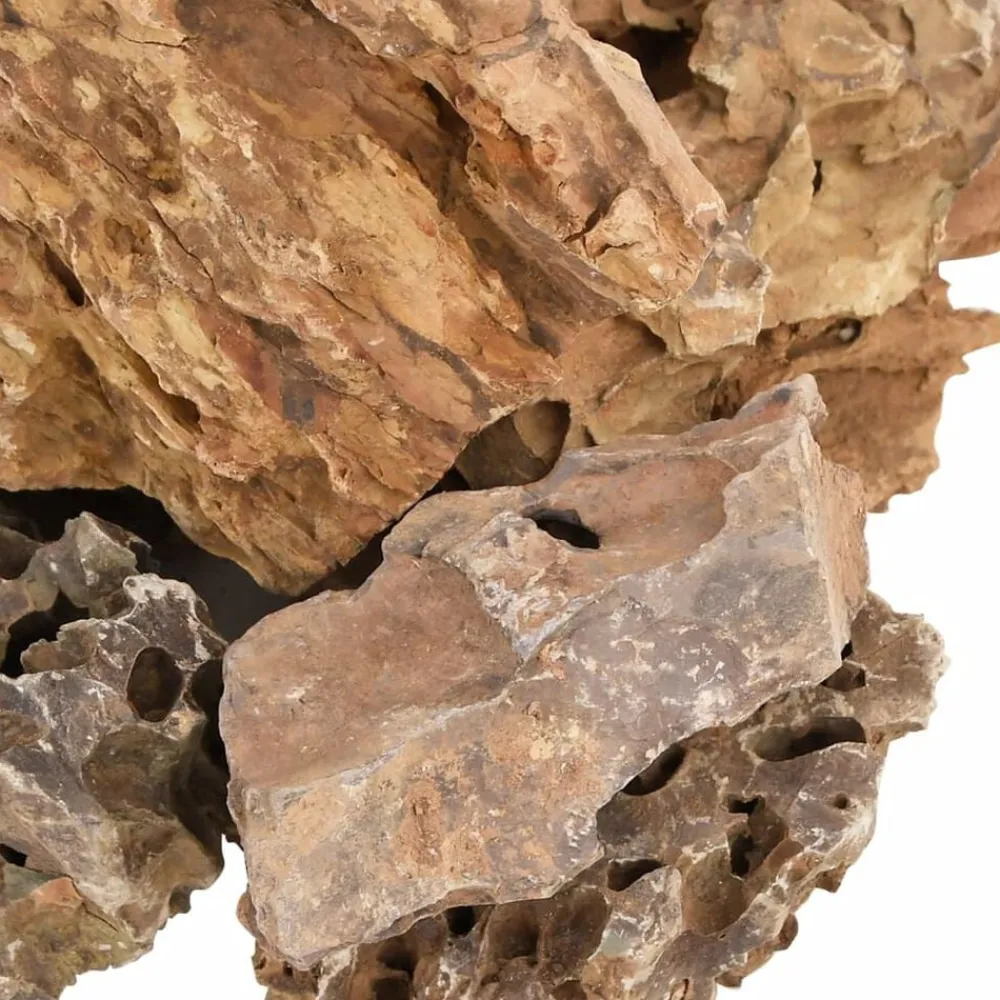 vidaXL Piedras de dragón marrón 10 kg 5-30 cm Marrón Online