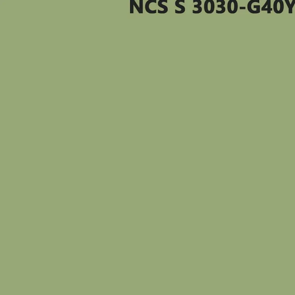 vidaXL Consumibles Para Construcción-Pintura de pared Verde 2,5 L Impresión en pared
