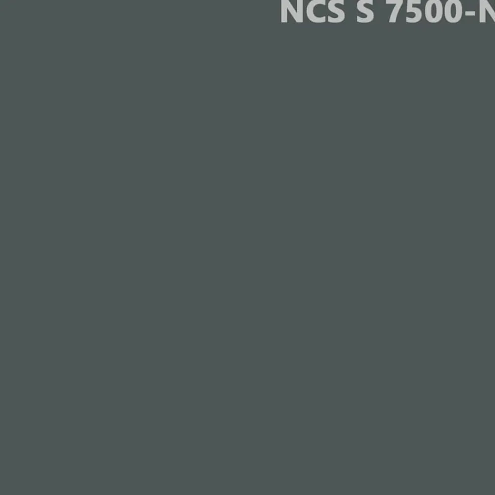 vidaXL Pintura para muebles Gris 0,75 L Impresión en pared Gris carbón Outlet