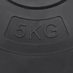 vidaXL Fitness Y Musculación-Placas de pesas 4 uds cemento 30 kg