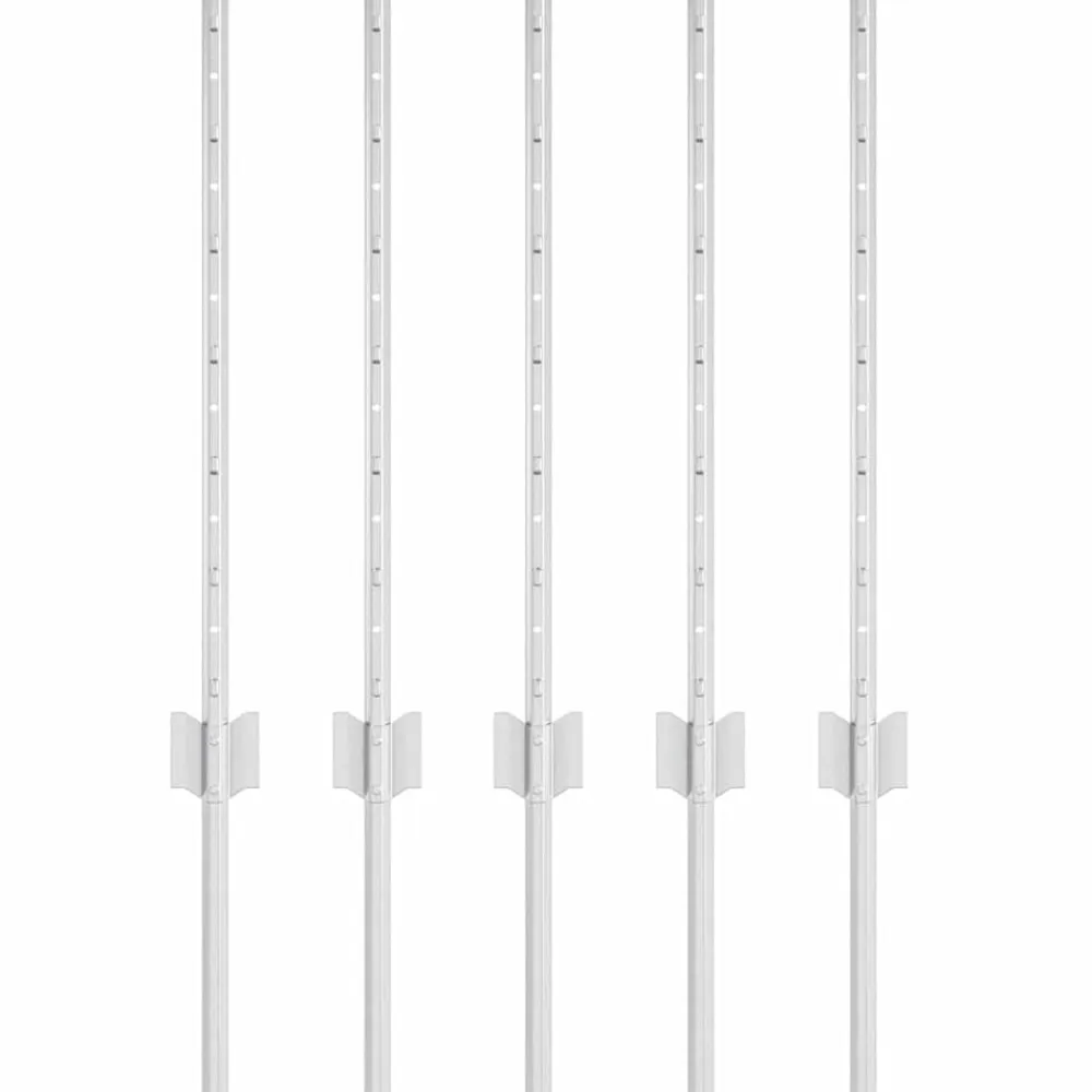 vidaXL Vallas De Jardín-Poste de Valla 5 pcs Plateado 60 cm Acero