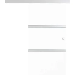 vidaXL Puerta corredera vidrio ESG y aluminio plateado 90x212 cm Outlet