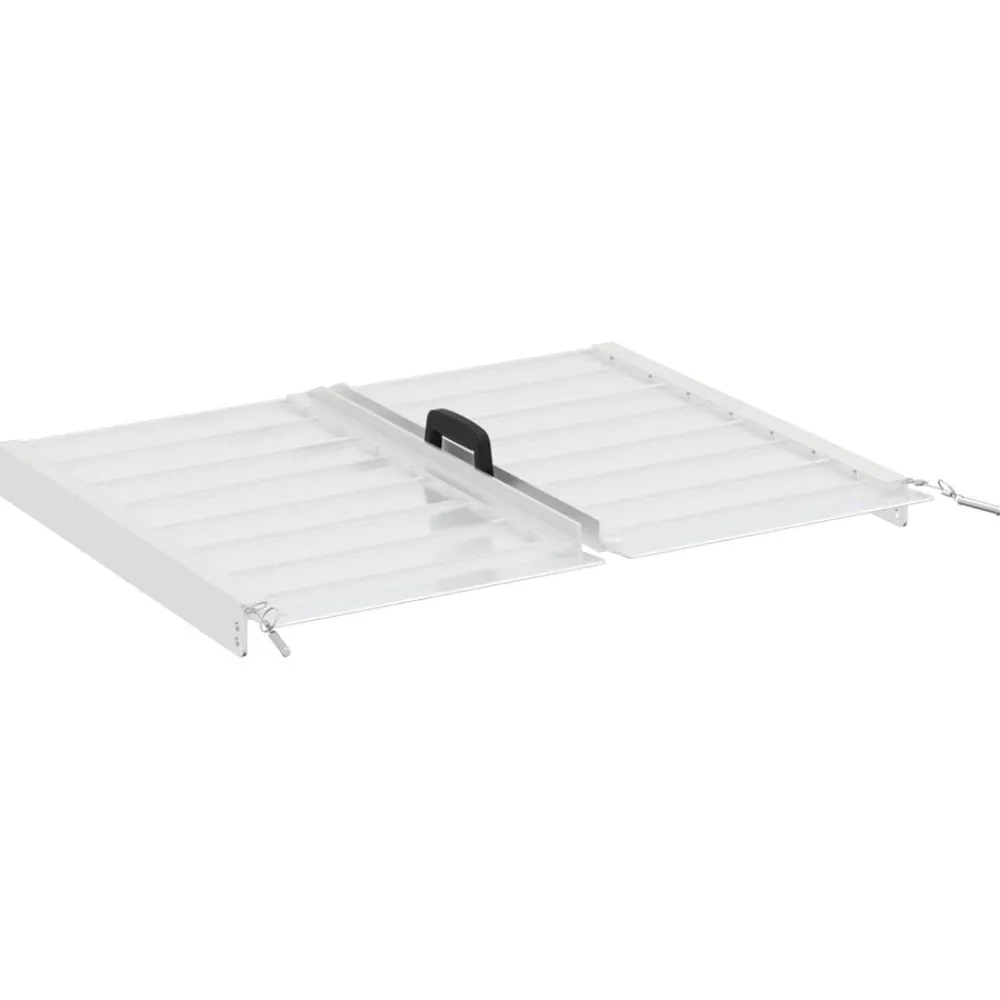 vidaXL Rampa para silla de ruedas 270 kg Plateado 62 x 73 x 5 cm