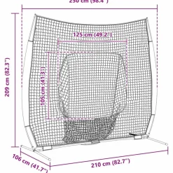 vidaXL Equipamiento Para Atletismo-Red de práctica de béisbol Negro 250 x 106 x 209 cm Poliéster