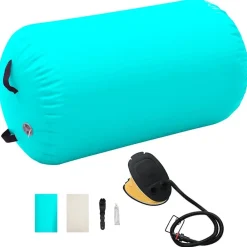 vidaXL Fitness Y Musculación-Rollo hinchable de gimnasia con bomba PVC 100x60 cm