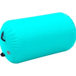 vidaXL Fitness Y Musculación-Rollo hinchable de gimnasia con bomba PVC 100x60 cm