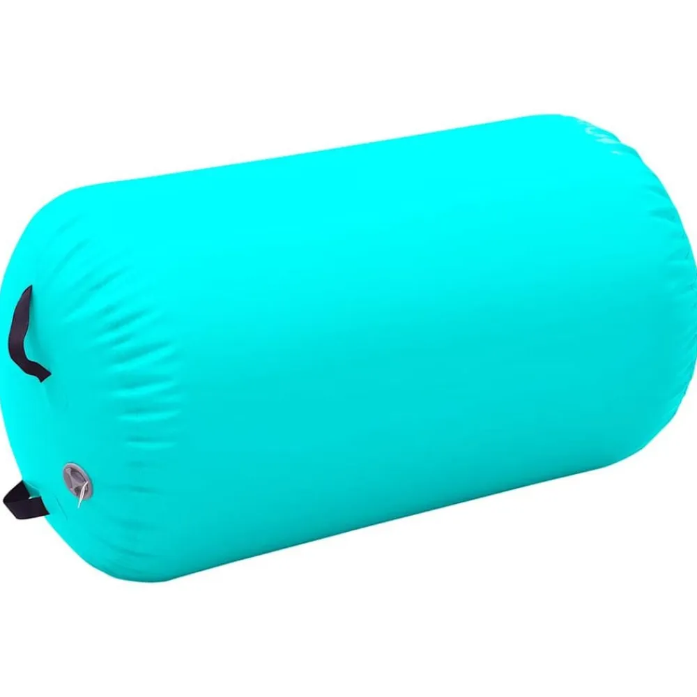 vidaXL Fitness Y Musculación-Rollo hinchable de gimnasia con bomba PVC 100x60 cm