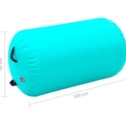 vidaXL Fitness Y Musculación-Rollo hinchable de gimnasia con bomba PVC 100x60 cm