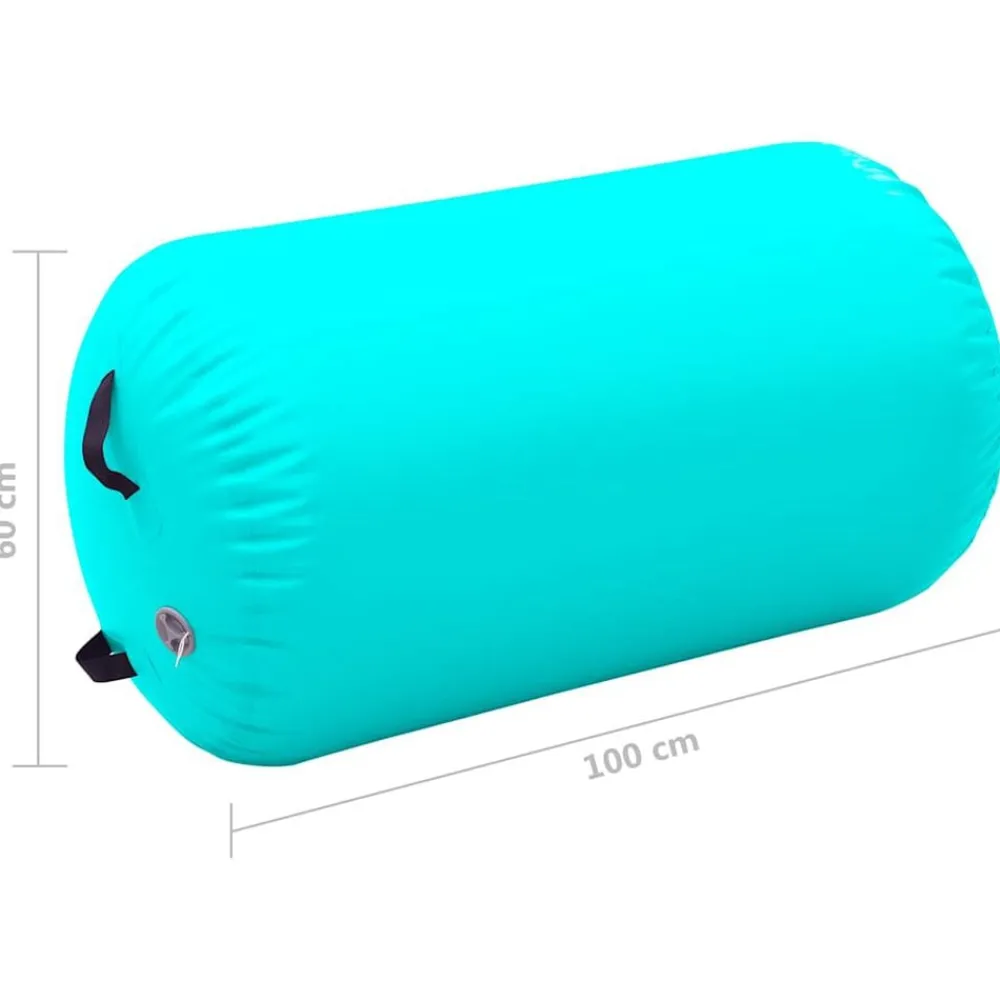 vidaXL Fitness Y Musculación-Rollo hinchable de gimnasia con bomba PVC 100x60 cm