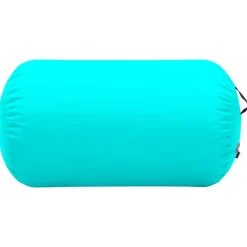 vidaXL Fitness Y Musculación-Rollo hinchable de gimnasia con bomba PVC 100x60 cm