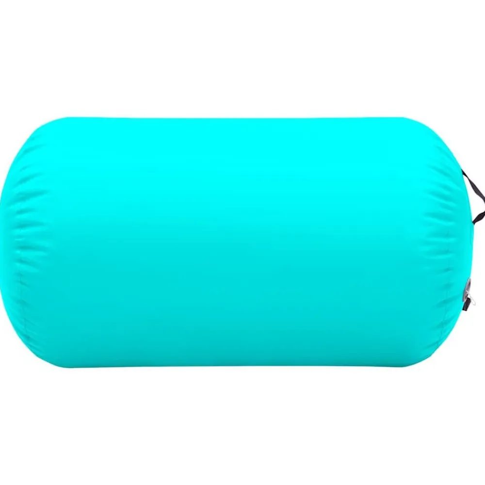 vidaXL Fitness Y Musculación-Rollo hinchable de gimnasia con bomba PVC 100x60 cm
