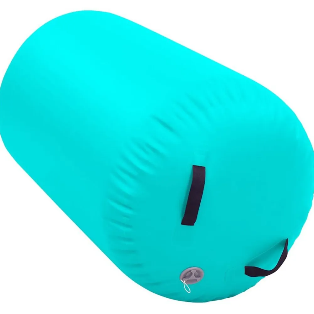 vidaXL Fitness Y Musculación-Rollo hinchable de gimnasia con bomba PVC 100x60 cm