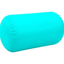 vidaXL Fitness Y Musculación-Rollo hinchable de gimnasia con bomba PVC 100x60 cm