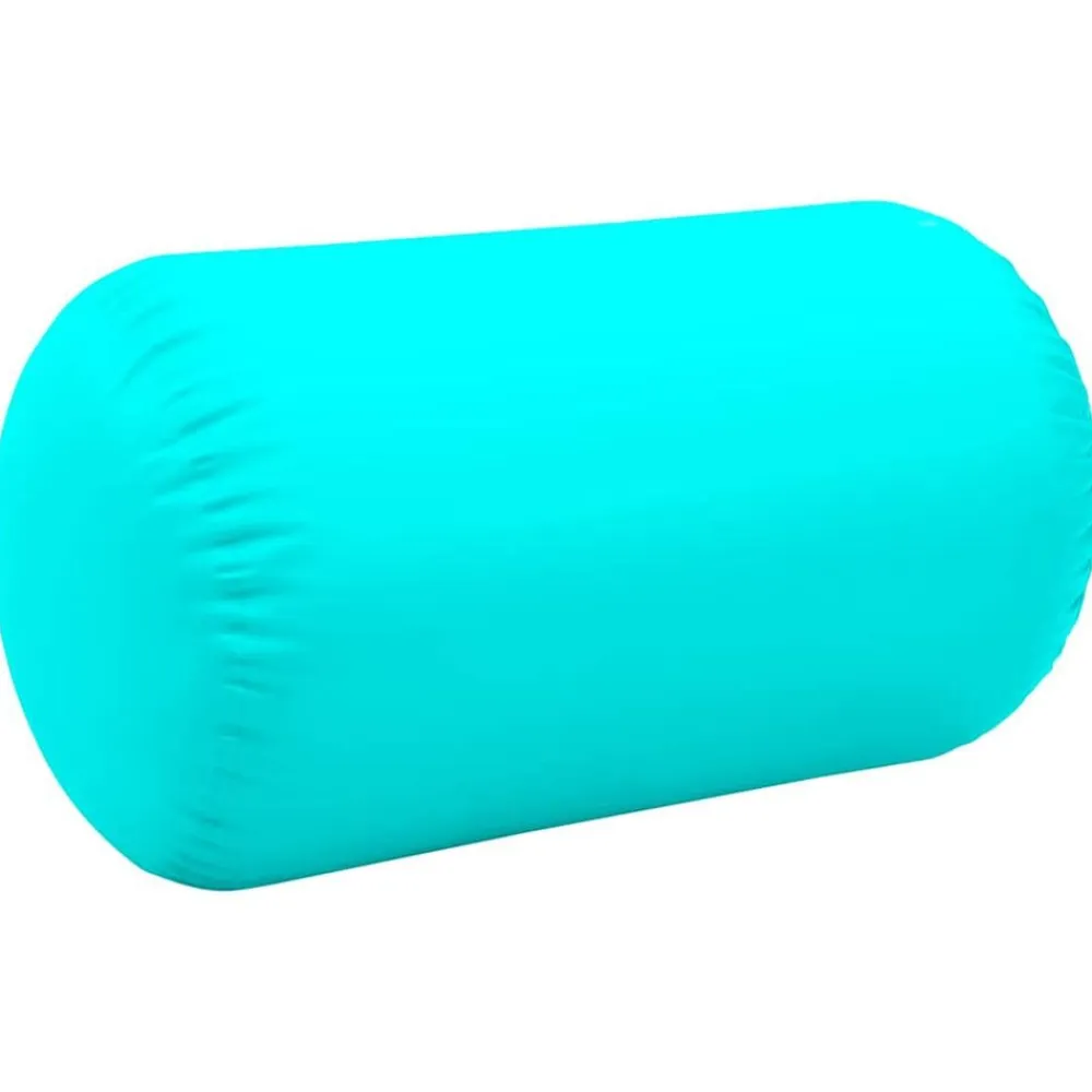 vidaXL Fitness Y Musculación-Rollo hinchable de gimnasia con bomba PVC 100x60 cm