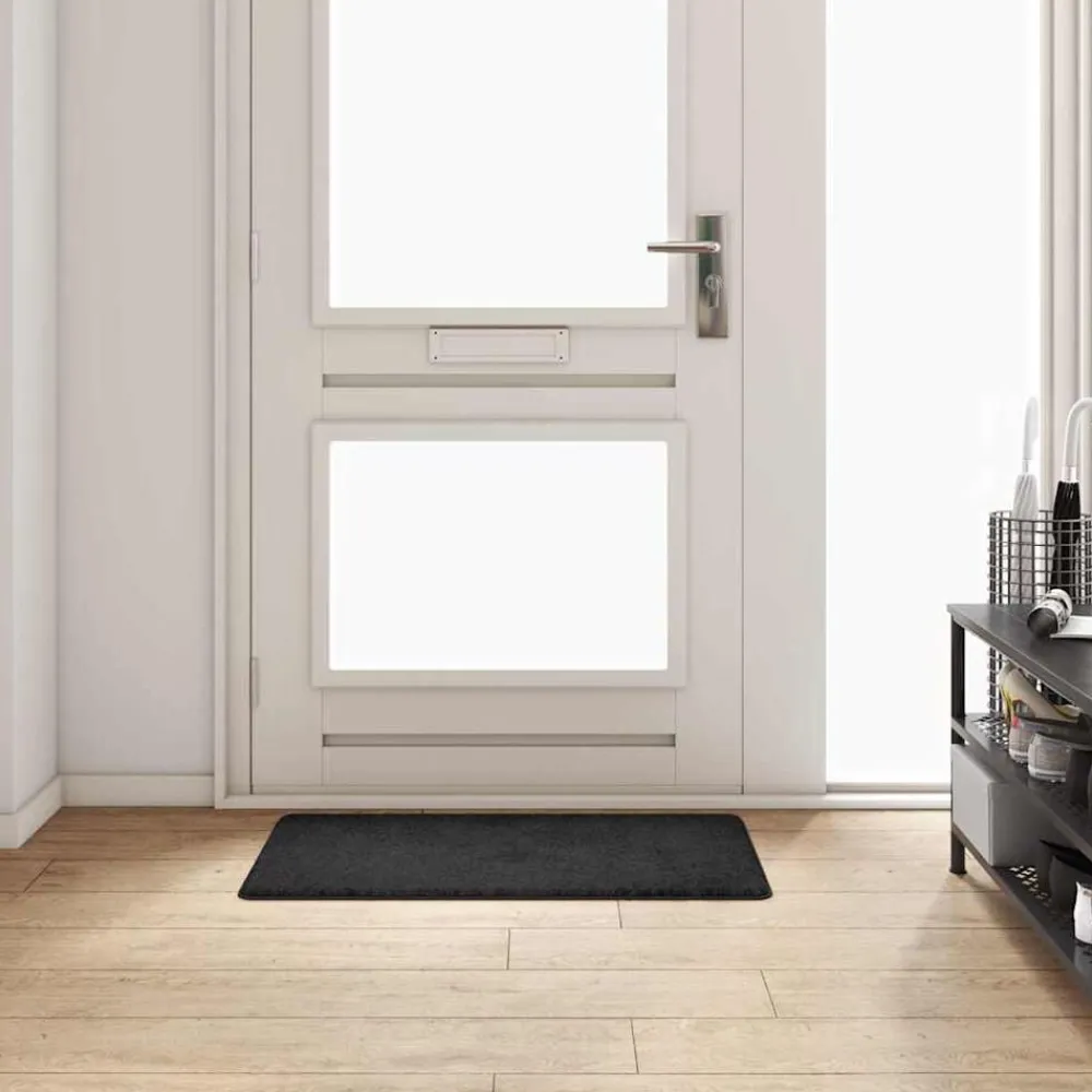 vidaXL Runner de Alfombra 50 x 100 cm Negro Best
