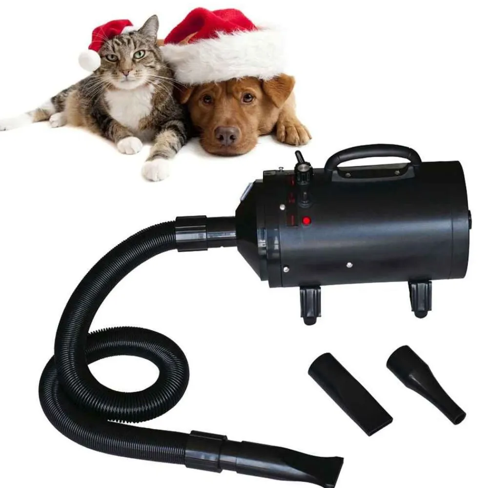 vidaXL Secador de pelo de perro con 3 boquillas negro 2400 W Outlet