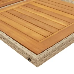 vidaXL Muebles De Jardín-Set comedor de jardín 9 pzas con cojines ratán sintético