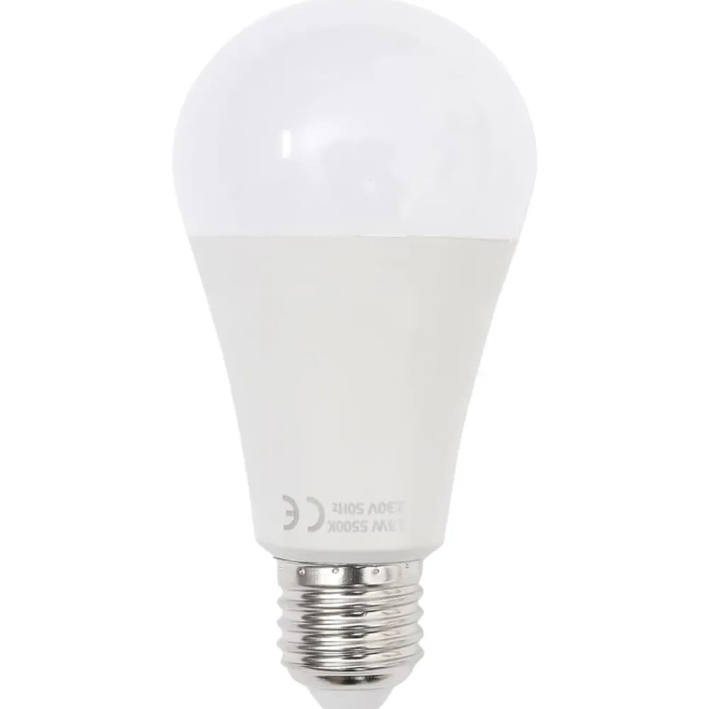 vidaXL Set de iluminación de estudio con trípodes y sombrillas Discount