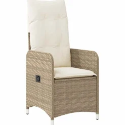 vidaXL Set de mesa y sillas de jardín 11 pzas y cojines ratán PE Beige Hot