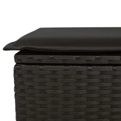 vidaXL Set de sofás de jardín 11 pzas y cojines ratán sintético Negro Discount