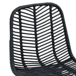 vidaXL Silla de Bar 2 pcs 44,5 x 54,5 x 97,5 cm Ratan e Hierro Negro Online