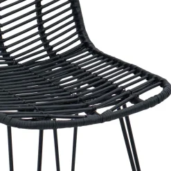 vidaXL Silla de Bar 2 pcs 44,5 x 54,5 x 97,5 cm Ratan e Hierro Negro Online