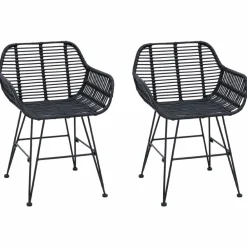 vidaXL Silla de comedor 2 pcs 55 x 50 x 74 cm Ratan e Hierro Negro Sale