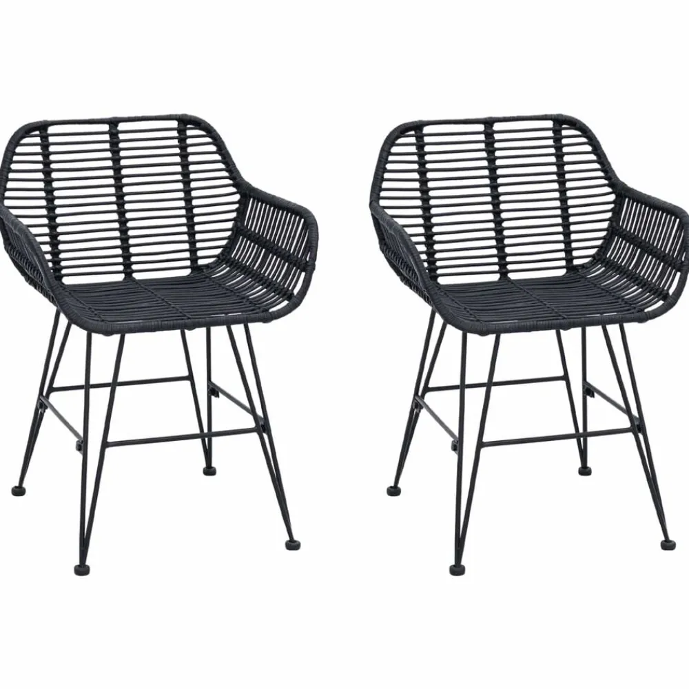 vidaXL Silla de comedor 2 pcs 55 x 50 x 74 cm Ratan e Hierro Negro Sale