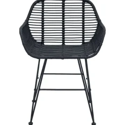 vidaXL Silla de comedor 2 pcs 55 x 50 x 74 cm Ratan e Hierro Negro Sale