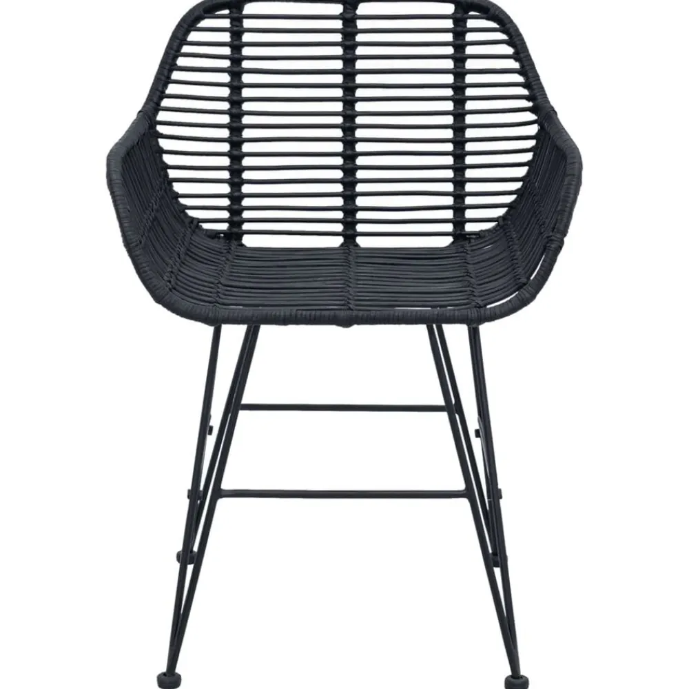 vidaXL Silla de comedor 2 pcs 55 x 50 x 74 cm Ratan e Hierro Negro Sale