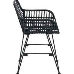 vidaXL Silla de comedor 2 pcs 55 x 50 x 74 cm Ratan e Hierro Negro Sale
