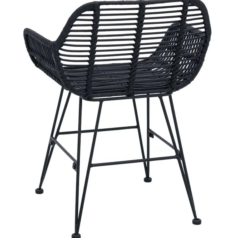 vidaXL Silla de comedor 2 pcs 55 x 50 x 74 cm Ratan e Hierro Negro Sale