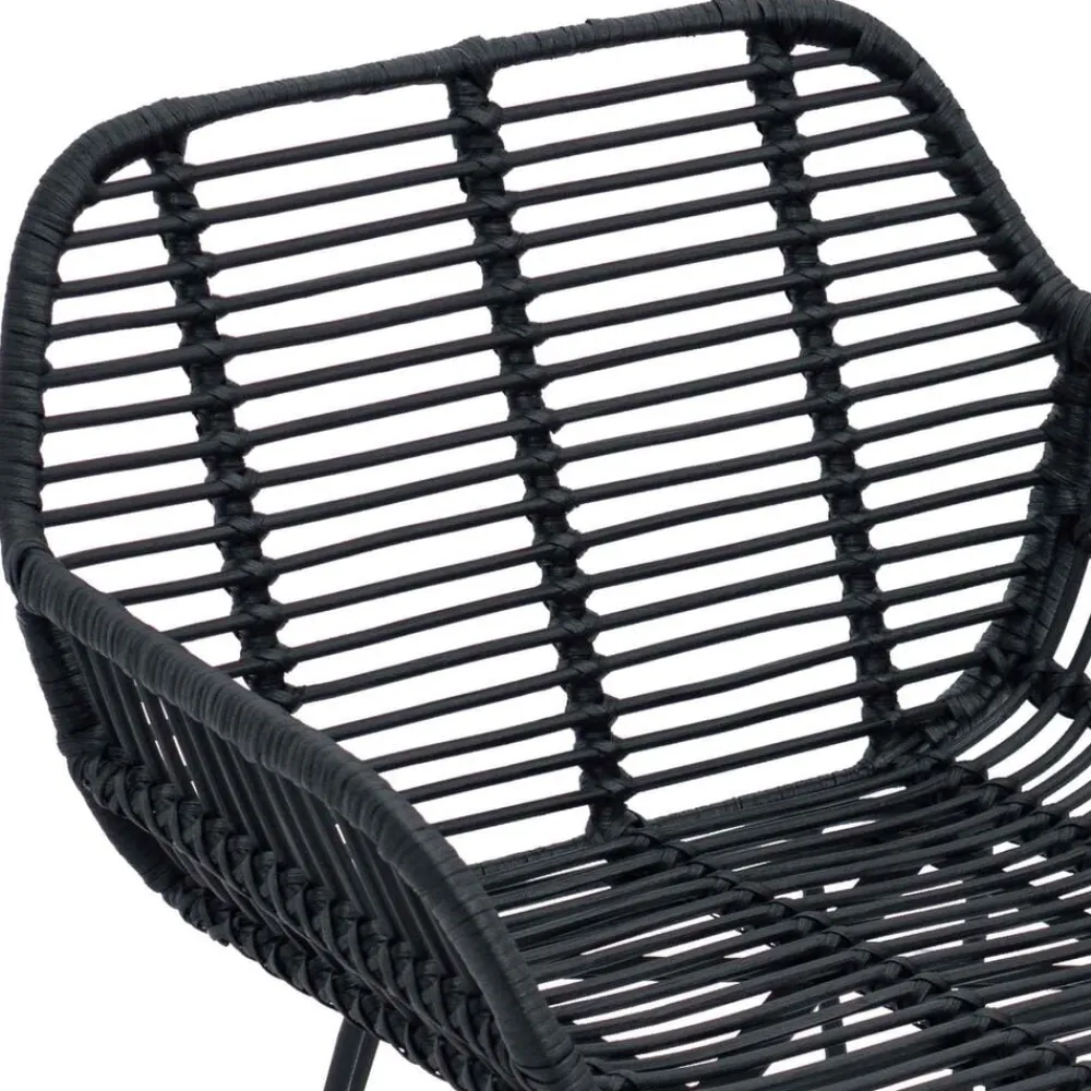 vidaXL Silla de comedor 2 pcs 55 x 50 x 74 cm Ratan e Hierro Negro Sale