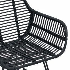 vidaXL Silla de comedor 2 pcs 55 x 50 x 74 cm Ratan e Hierro Negro Sale